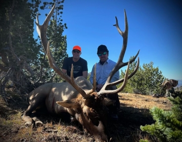 Sns Wyoming Wilderness Elk 2026 9.jpg
